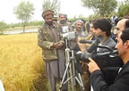 Baharak, Takhar SRI field day 2012