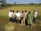 CODAGAZ/AMAPAD harvest in Bama 2012
