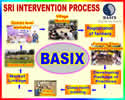 BASIX process
