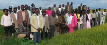 Nov 2011 training in Mwea, Kenya