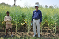 System of Mustard Intensification (SMI) in Bihar, India